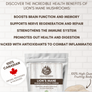 Lion's Mane Extract Powder 30g