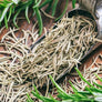 Organic Dried Herbs