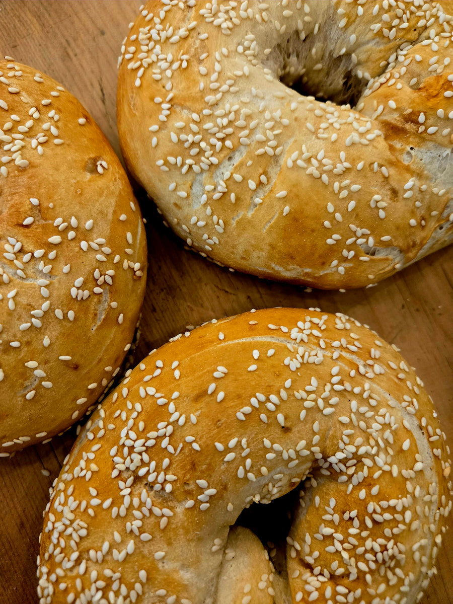 Sourdough Sesame Bagels (3 pack)
