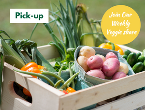 Summer 2025 CSA Pick Up