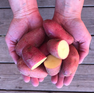 Pink Lady Potatoes  1lb