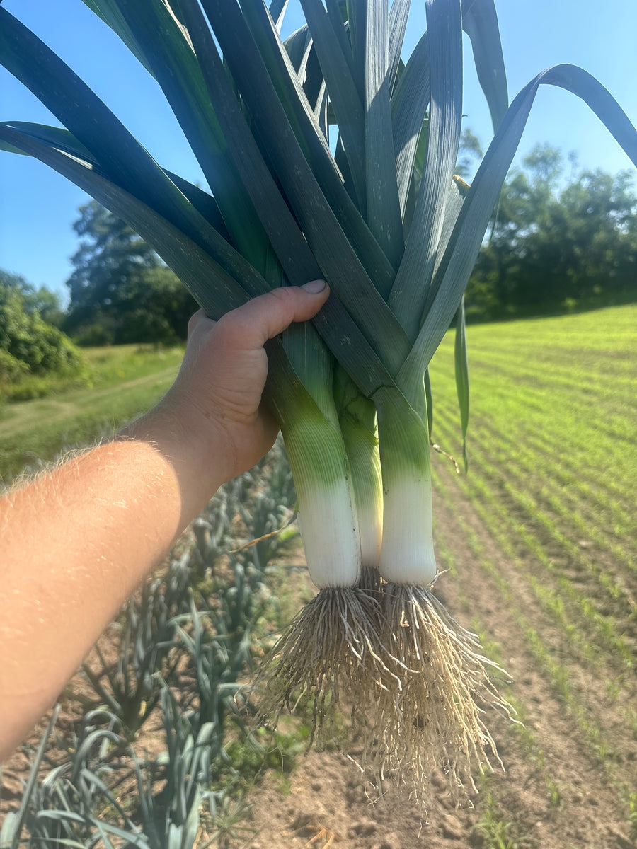 Leeks (SNF)