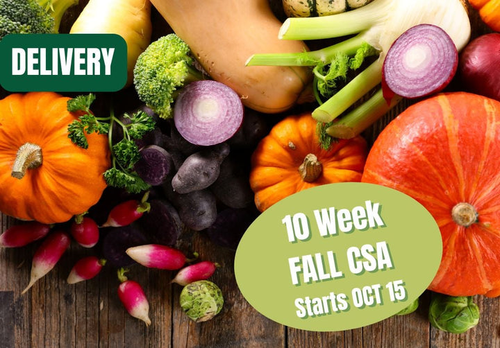 Fall CSA 2025 Delivered