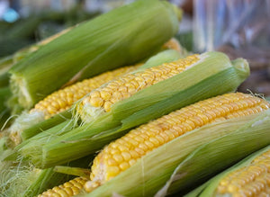 Sweet Corn Locally Grown!