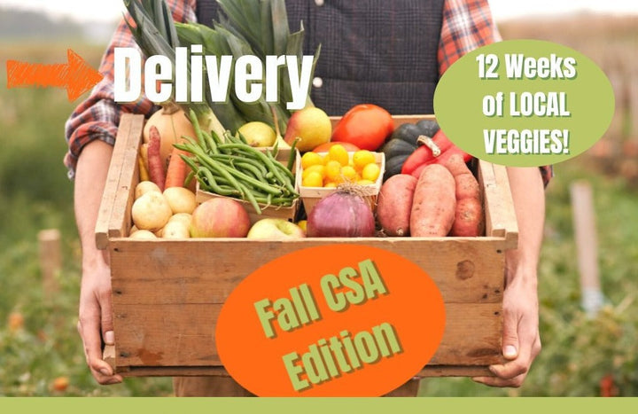 Fall CSA 2024 Delivered