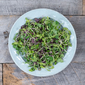 Microgreens Certified Organic