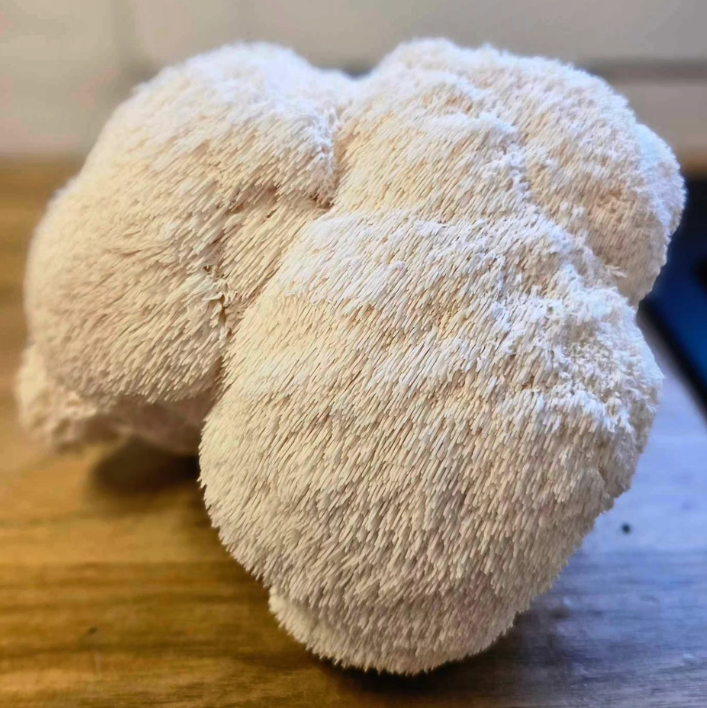 Lions Mane Mushrooms 1/4 lbs