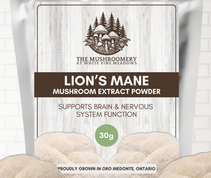 Lion's Mane Extract Powder 30g