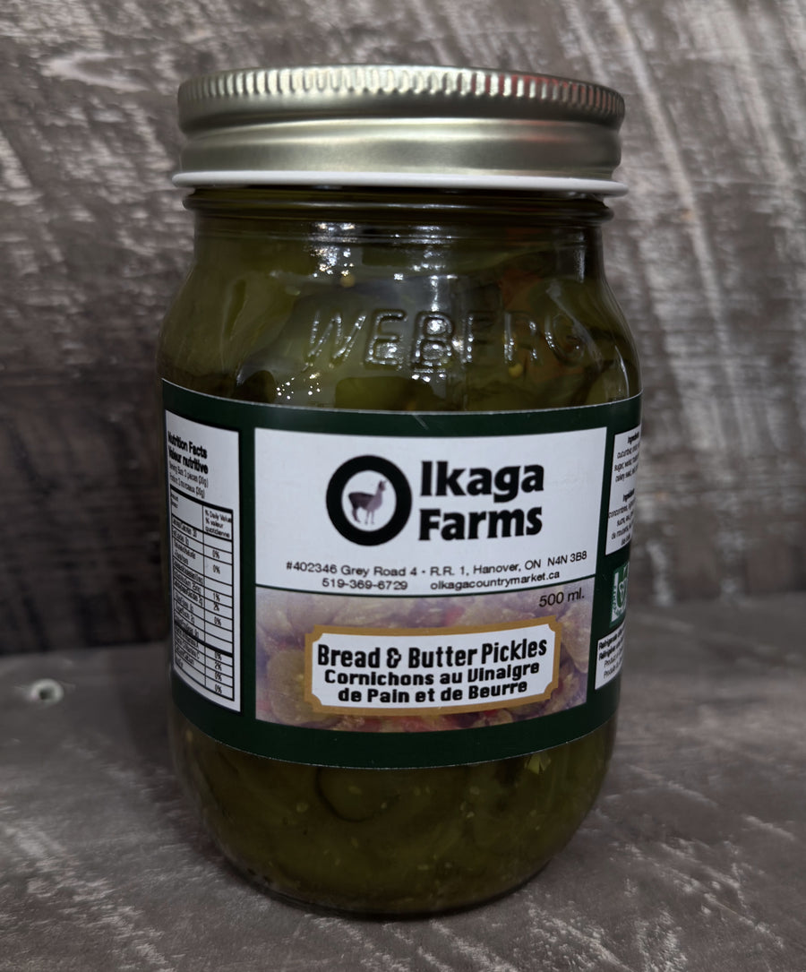 Bread & Butter PIckles 500ml (OF)