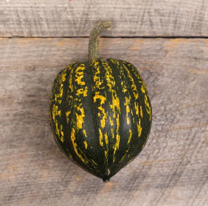 Starry Night Acorn Squash