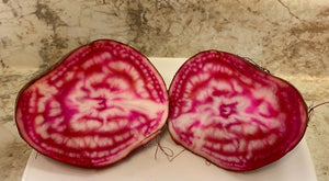 Candy Cane Beets (SNF) 1 lb