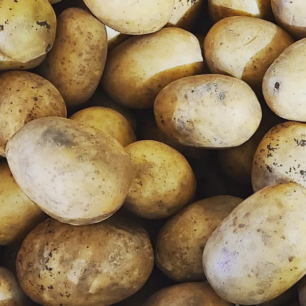 Yukon Gem Potatoes 2 lbs (CHF)