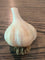 Garlic Bulb