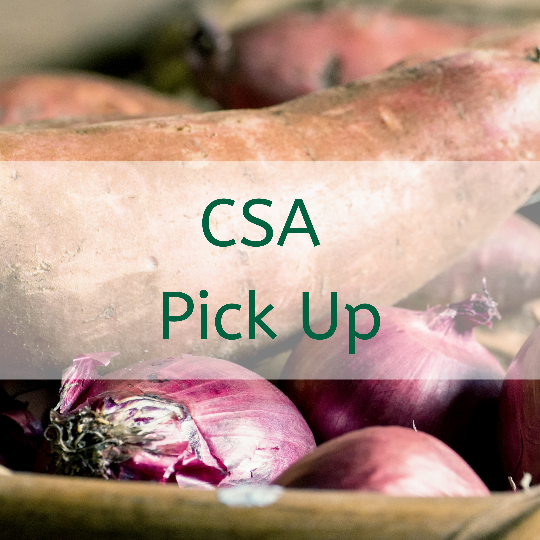 Winter 2025 CSA Pick Up