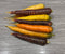 Rainbow Carrots (SNF)