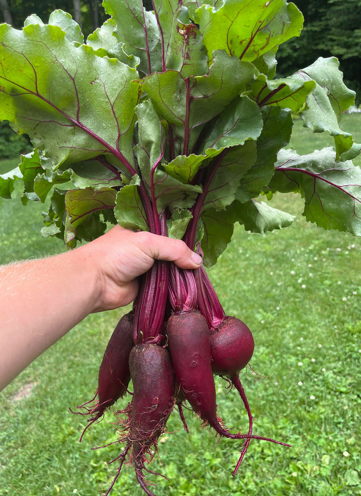 Red Beets (SNF) 1 lb